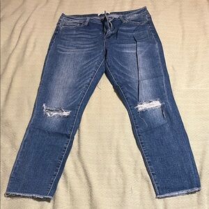 Blue Distressed Women Jeans Jeggings